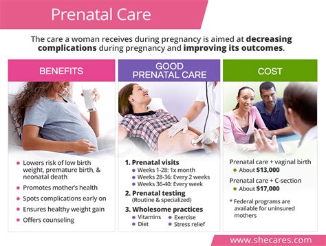 Chapter 6. Normal Pregnancy and Prenatal Care.